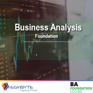 Business Analysis Foundation